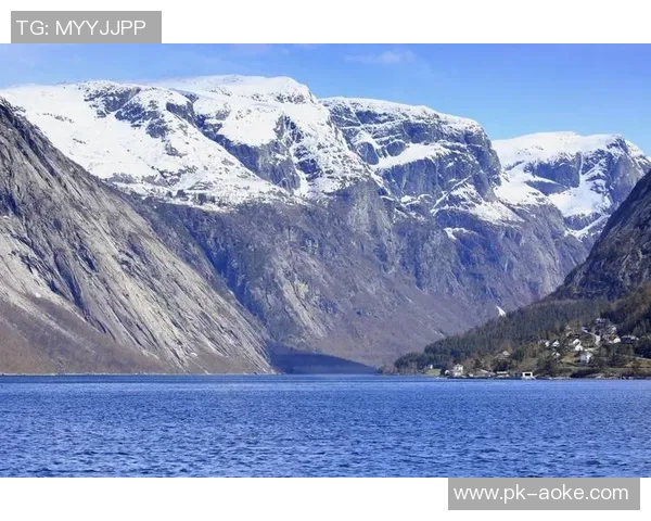 挪威足球巨星闪耀绿茵场书写属于北欧的传奇篇章